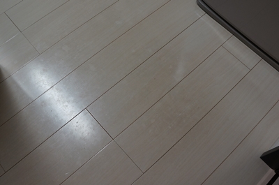 DSC08089.jpg