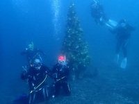 クリスマスパーティーダイブするなら、ソットマリノで!