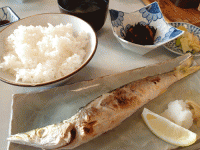 PC230059.gif