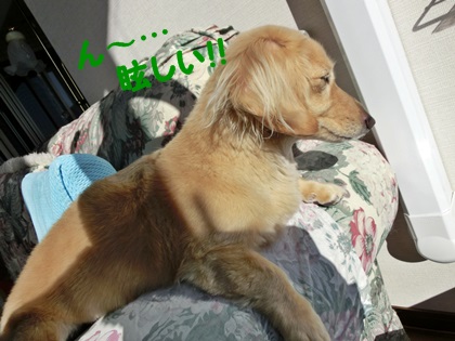 眩しいよ