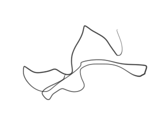 新規