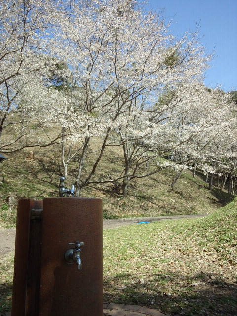 CAI_0098.jpg