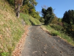 松田山農道