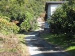 松田山農道