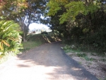 松田山大林農道