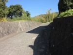 松田山大林農道