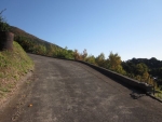 松田山大林農道