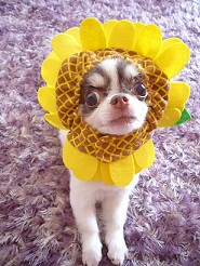 2011080802.jpg