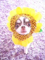 2011080804.jpg