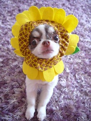 2011080805.jpg