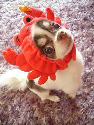2011080806.jpg