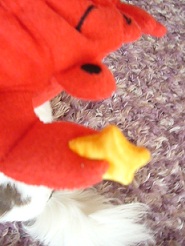 2011080808.jpg