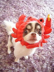 2011080809.jpg