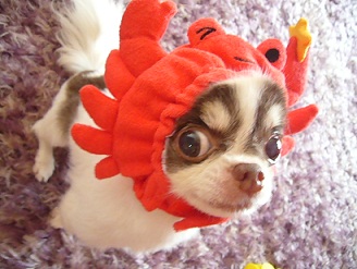 2011080811.jpg