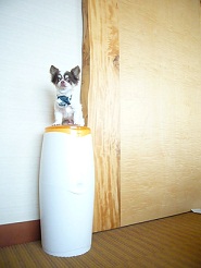 2011082104.jpg