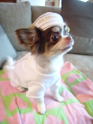 2011082106.jpg