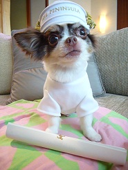 2011082107.jpg
