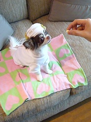2011082109.jpg
