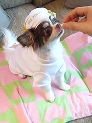 2011082110.jpg