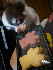 2011082112.jpg