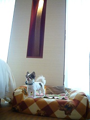 2011082114.jpg