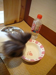 2011082117.jpg