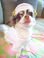 2011082119.jpg