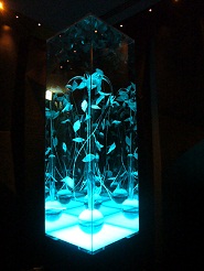 2011082202.jpg