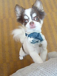 2011082316.jpg