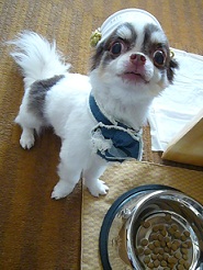 2011082317.jpg