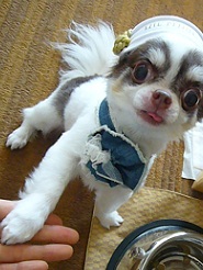 2011082318.jpg