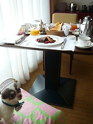 2011082319.jpg