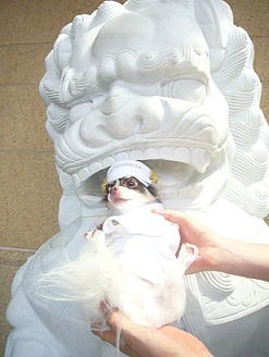 2011082401.jpg