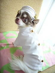 2011082403.jpg