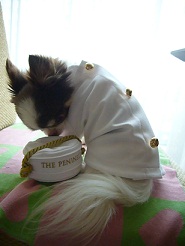 2011082405.jpg