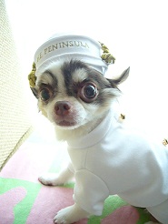 2011082406.jpg