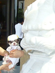 2011082408.jpg