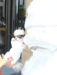 2011082409.jpg