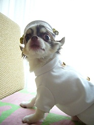 2011082410.jpg