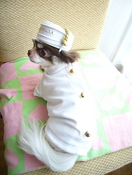 2011082411.jpg