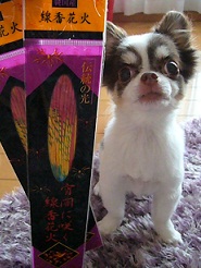 2011082501.jpg