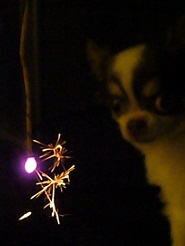 2011082503.jpg