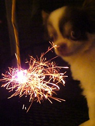 2011082504.jpg