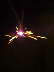 2011082508.jpg