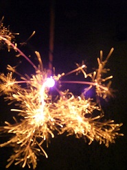 2011082515.jpg