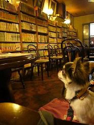 2011082601.jpg