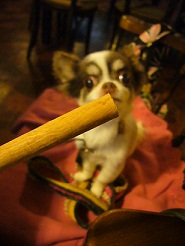 2011082602.jpg