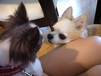 2011082605.jpg