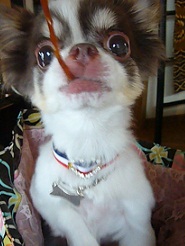 2011082615.jpg