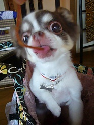 2011082617.jpg